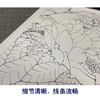 【有步骤、大彩图】李晓明工笔画白描底稿斗方小品《金莲》荷花初学者临摹花鸟线稿KE10 商品缩略图4