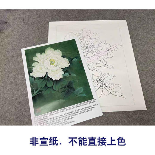 【有步骤、大彩图】李晓明工笔画白描底稿《牡丹图》初学者临摹花鸟线稿KD37 商品图2