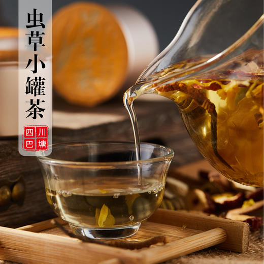 族迹 ▏虫草小罐茶 12小罐/份 商品图1