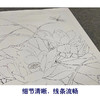 【有步骤、大彩图】李晓明工笔画白描底稿小品《紫荷红蜻蜓》荷花初学者临摹花鸟线稿KE09 商品缩略图4