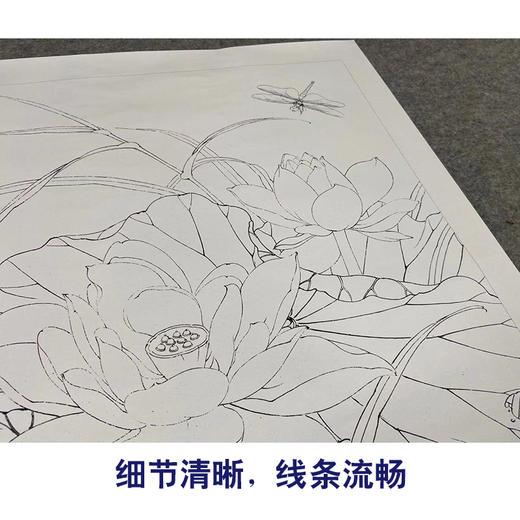 【有步骤、大彩图】李晓明工笔画白描底稿小品《紫荷红蜻蜓》荷花初学者临摹花鸟线稿KE09 商品图4
