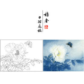 【有步骤、大彩图】李晓明工笔画白描稿底小品《凤丹白蛱蝶》牡丹蝴蝶初学者临摹花鸟线稿KD35
