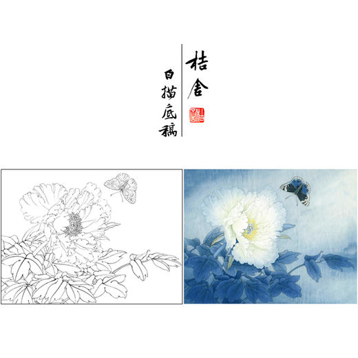【有步骤、大彩图】李晓明工笔画白描稿底小品《凤丹白蛱蝶》牡丹蝴蝶初学者临摹花鸟线稿KD35 商品图0