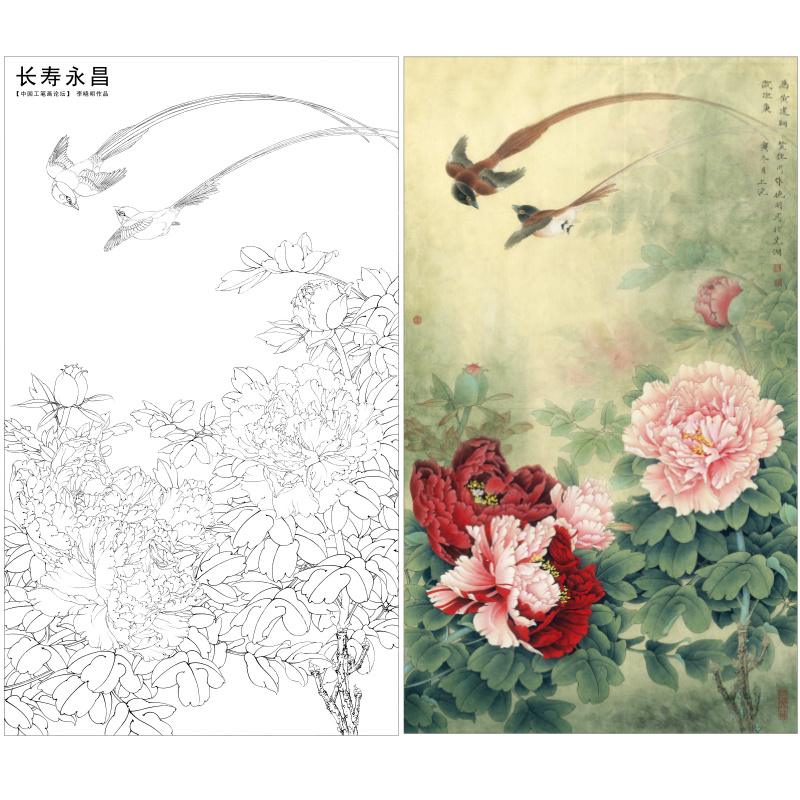【有步骤、大彩图】李晓明工笔画白描底稿《长寿永昌》牡丹寿带鸟初学者临摹花鸟线稿KD24