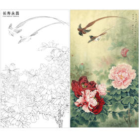 【有步骤、大彩图】李晓明工笔画白描底稿《长寿永昌》牡丹寿带鸟初学者临摹花鸟线稿KD24
