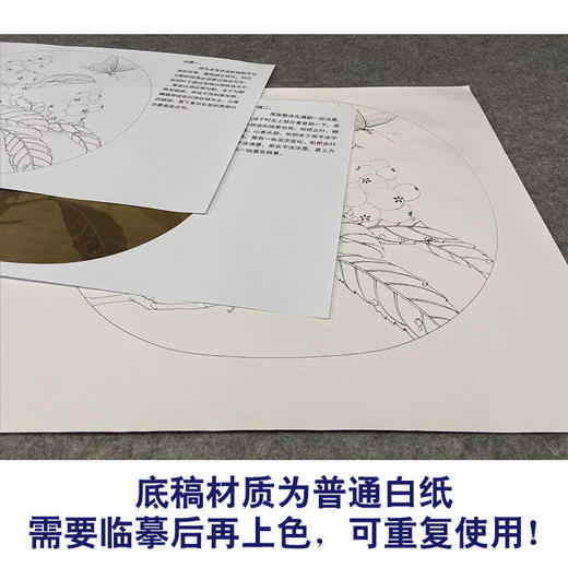 【有步骤、大彩图】李晓明工笔画白描底稿圆形小品《临宋枇杷山鸟图》枇杷蝴蝶初学者临摹花鸟线稿KC33 商品图3