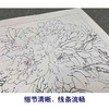 【有步骤、大彩图】李晓明工笔画白描底稿斗方小品《富贵白头》牡丹初学者临摹花鸟线稿KD30 商品缩略图4