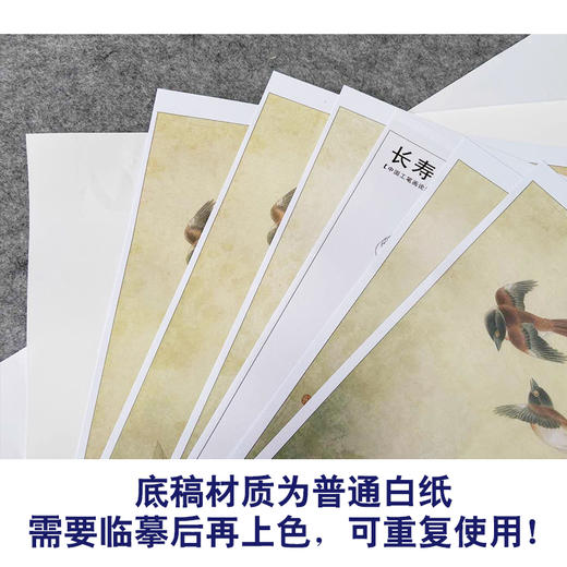 【有步骤、大彩图】李晓明工笔画白描底稿《长寿永昌》牡丹寿带鸟初学者临摹花鸟线稿KD24 商品图3