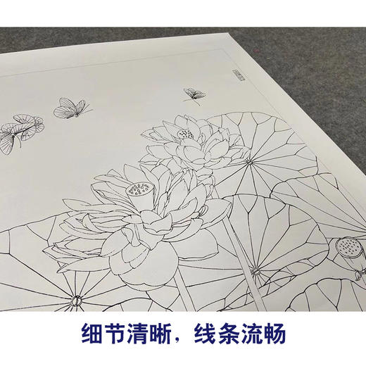 【有步骤、大彩图】李晓明工笔画白描底稿斗方小品《君子爱莲》荷花蝴蝶初学者临摹花鸟线稿KE12 商品图4