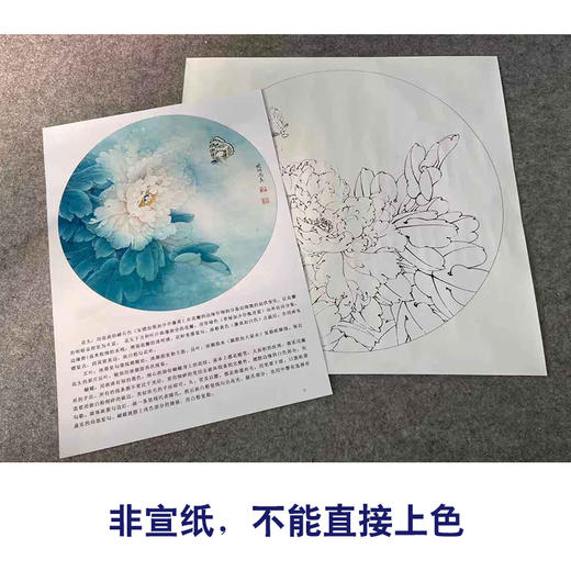 【有步骤、大彩图】李晓明工笔画白描底稿圆形小品《牡丹蛱蝶图》牡丹初学者临摹花鸟线稿KD02 商品图2