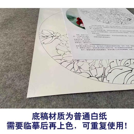 【有步骤、大彩图】李晓明工笔画白描底稿小品《二乔春色》牡丹初学者临摹花鸟线稿KD01 商品图3