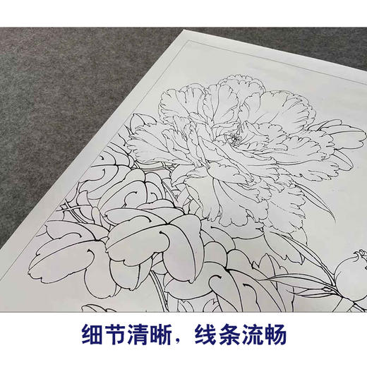 【有步骤、大彩图】李晓明工笔画白描底稿斗方小品《赛珠盘》牡丹初学者临摹花鸟线稿KD33 商品图4