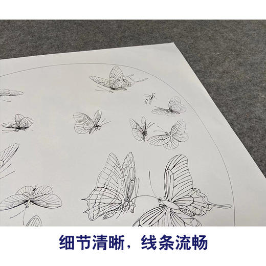 【有步骤、大彩图】李晓明工笔画白描底稿圆形小品《临宋晴春蝶戏图》蝴蝶初学者临摹花鸟线稿KC36 商品图4