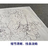 【有步骤、大彩图】李晓明工笔画白描底稿圆形小品《孩儿面》牡丹初学者临摹花鸟线稿KD04 商品缩略图4
