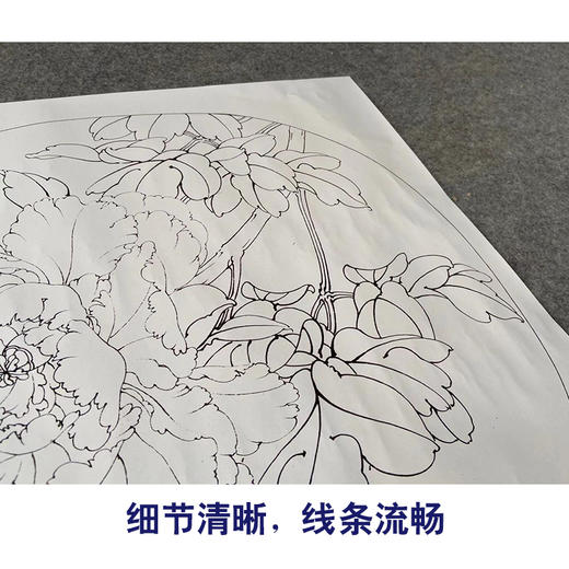 【有步骤、大彩图】李晓明工笔画白描底稿圆形小品《孩儿面》牡丹初学者临摹花鸟线稿KD04 商品图4