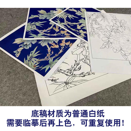 【有步骤、大彩图】李晓明工笔画白描底稿小品《雏鹅黄》牡丹初学者临摹花鸟线稿KD36 商品图3