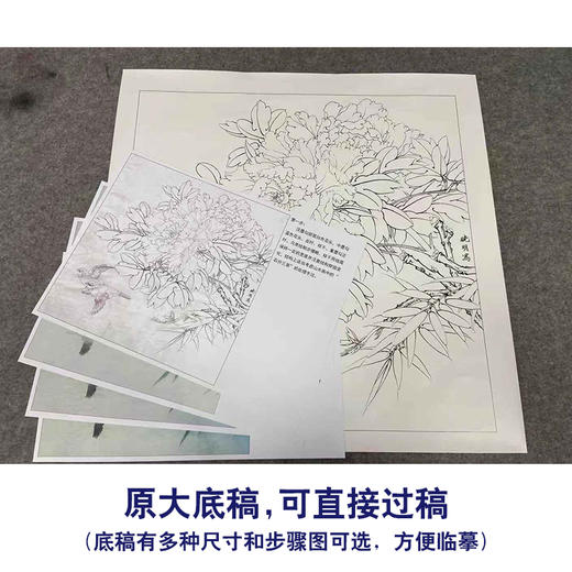 【有步骤、大彩图】李晓明工笔画白描底稿斗方小品《富贵白头》牡丹初学者临摹花鸟线稿KD30 商品图1