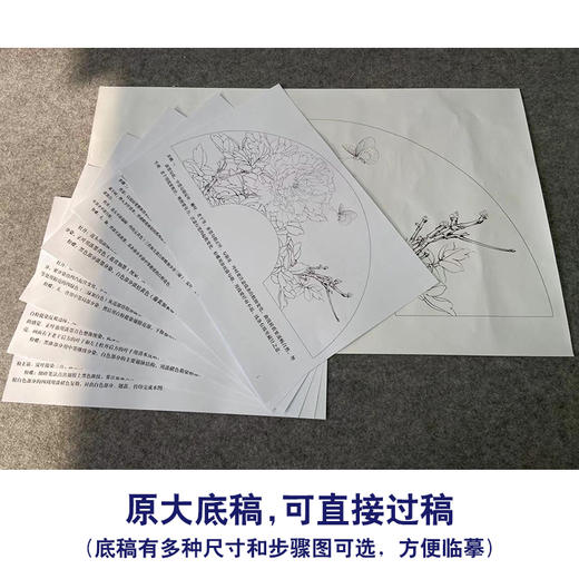 【有步骤、大彩图】李晓明工笔画白描底稿扇面小品《白蝶蓝田玉》牡丹蝴蝶初学者临摹花鸟线稿KD07 商品图1