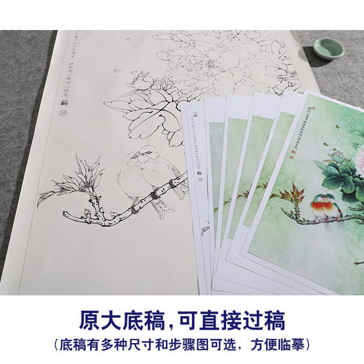 【有步骤、大彩图】李晓明工笔画白描底稿《相思瑶池春》牡丹相思鸟初学者临摹花鸟线稿KD20 商品图1