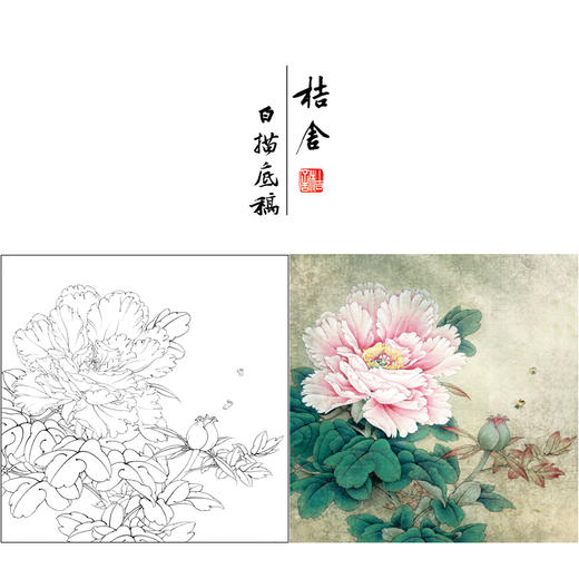 【有步骤、大彩图】李晓明工笔画白描底稿斗方小品《赛珠盘》牡丹初学者临摹花鸟线稿KD33 商品图0