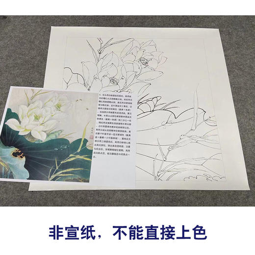 【有步骤、大彩图】李晓明工笔画白描底稿斗方小品《白荷亭亭》荷花蜜蜂初学者临摹花鸟线稿KE04 商品图2