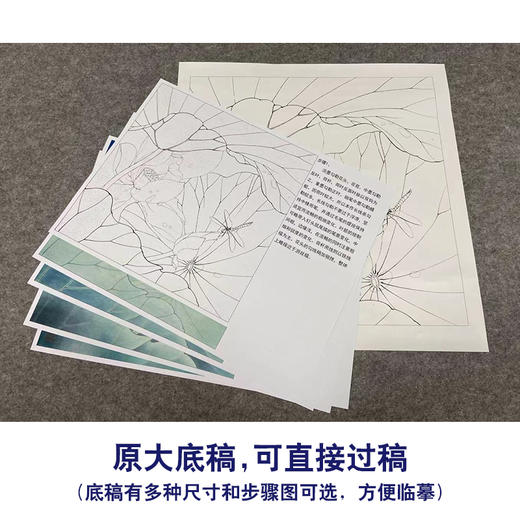 【有步骤、大彩图】李晓明工笔画白描底稿斗方小品《心莲若梦》荷花蜻蜓初学者临摹花鸟线稿KE08 商品图1