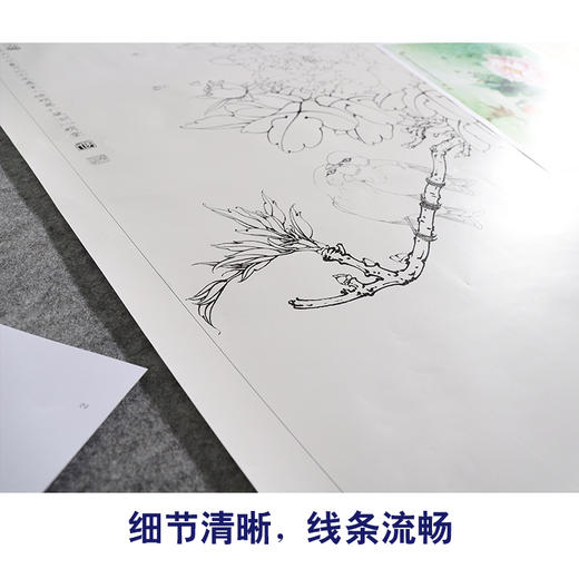 【有步骤、大彩图】李晓明工笔画白描底稿《相思瑶池春》牡丹相思鸟初学者临摹花鸟线稿KD20 商品图4
