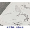 【有步骤、大彩图】李晓明工笔画白描底稿《锦鸡二乔图》牡丹初学者临摹花鸟线稿KD23 商品缩略图4