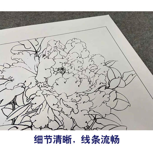 【有步骤、大彩图】李晓明工笔画白描底稿小品《雏鹅黄》牡丹初学者临摹花鸟线稿KD36 商品图4