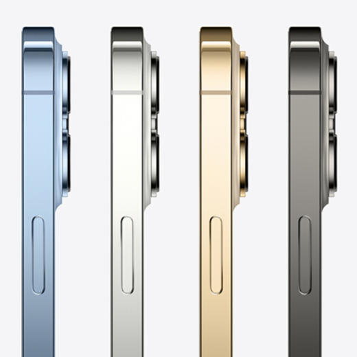 苹果 Apple iPhone 13 Pro Max (A2644)  支持移动联通电信5G 双卡双待手机 商品图4