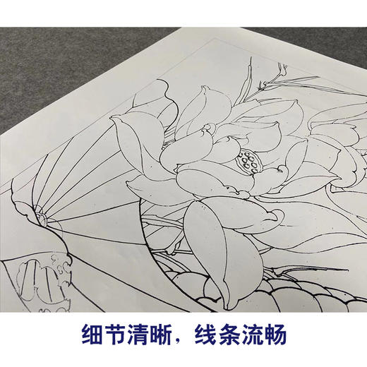 【有步骤、大彩图】李晓明工笔画白描底稿斗方小品《白荷亭亭》荷花蜜蜂初学者临摹花鸟线稿KE04 商品图4