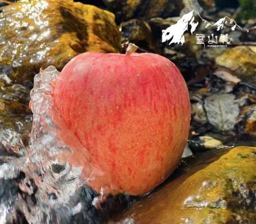 藏区 雪山礼·苹果 顺丰包邮 商品图3