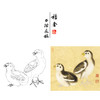 【有步骤、大彩图】李晓明工笔画白描底稿斗方小品《鸡雏待饲图》初学者临摹高清打印稿KC30 商品缩略图0