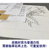 【有步骤、大彩图】李晓明工笔画白描底稿斗方小品《枇杷绣眼图》初学者临摹花鸟线稿KC34 商品缩略图3