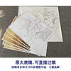 【有步骤、大彩图】李晓明工笔画白描底稿斗方小品《大宋紫》牡丹初学者临摹花鸟线稿KD11 商品缩略图1