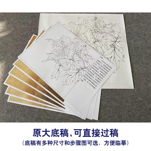 【有步骤、大彩图】李晓明工笔画白描底稿斗方小品《大宋紫》牡丹初学者临摹花鸟线稿KD11 商品图1