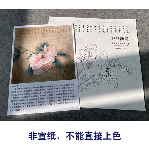 【有步骤、大彩图】李晓明工笔画白描底稿斗方小品《杨妃醉酒》牡丹初学者临摹花鸟线稿KD17 商品图2
