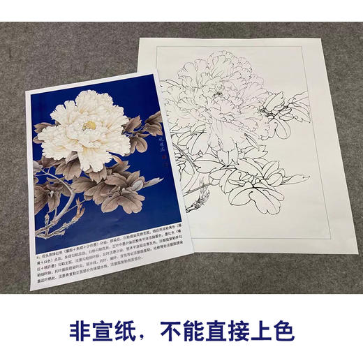【有步骤、大彩图】李晓明工笔画白描底稿《羊脂白》牡丹花初学者临摹花鸟线稿KD42 商品图2