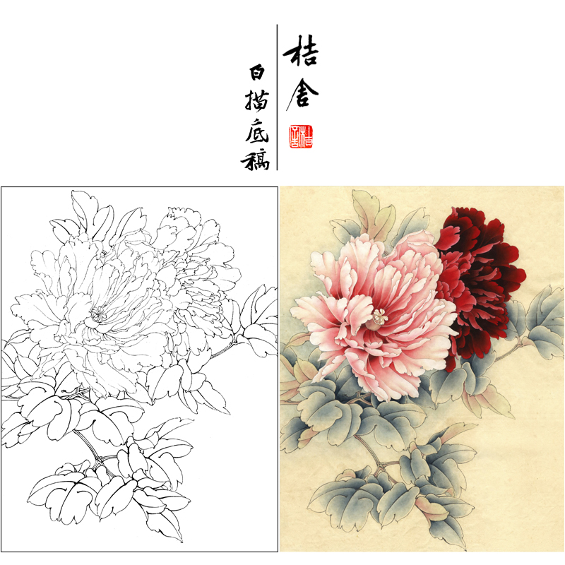 【有步骤、大彩图】李晓明工笔画白描底稿《二乔逢春》牡丹初学者临摹花鸟线稿KD12