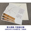 【有步骤、大彩图】李晓明工笔画白描底稿斗方小品《梅竹双友图》梅花初学者临摹花鸟线稿KC32 商品缩略图1