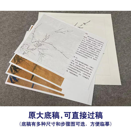 【有步骤、大彩图】李晓明工笔画白描底稿斗方小品《梅竹双友图》梅花初学者临摹花鸟线稿KC32 商品图1