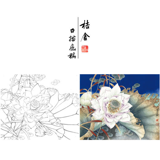 【有步骤、大彩图】李晓明工笔画白描底稿小品《千瓣莲》荷花初学者临摹花鸟线稿KE13 商品图0