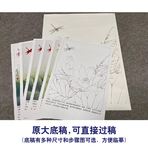 【有步骤、大彩图】李晓明工笔画白描底稿《荷花红蜻蜓图》初学者临摹花鸟线稿KE14 商品图1