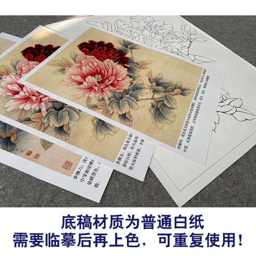 【有步骤、大彩图】李晓明工笔画白描底稿《二乔逢春》牡丹初学者临摹花鸟线稿KD12 商品图3