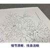 【有步骤、大彩图】李晓明工笔画白描底稿斗方小品《江东双娇》牡丹初学者临摹花鸟线稿KD26 商品缩略图4
