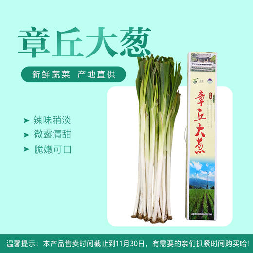 【章丘大葱】高白脆甜 富硒 10斤礼盒装 包邮  11.7按照订单顺序陆续发货 商品图0