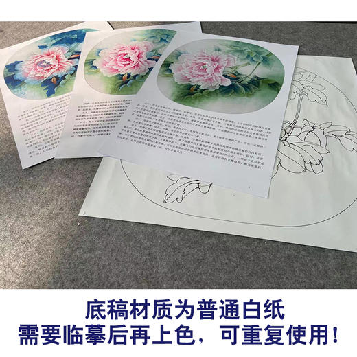 【有步骤、大彩图】李晓明工笔画白描底稿圆形小品《孩儿面》牡丹初学者临摹花鸟线稿KD04 商品图3