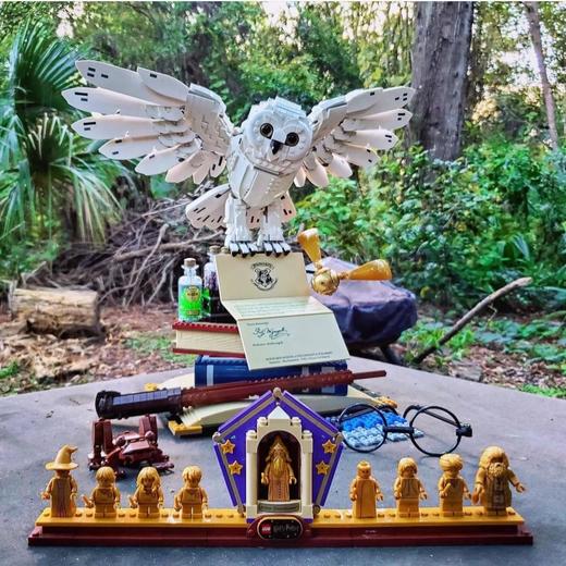 乐高L76391哈利波特系列海德薇-哈利波特霍格沃兹经典藏品 商品图3