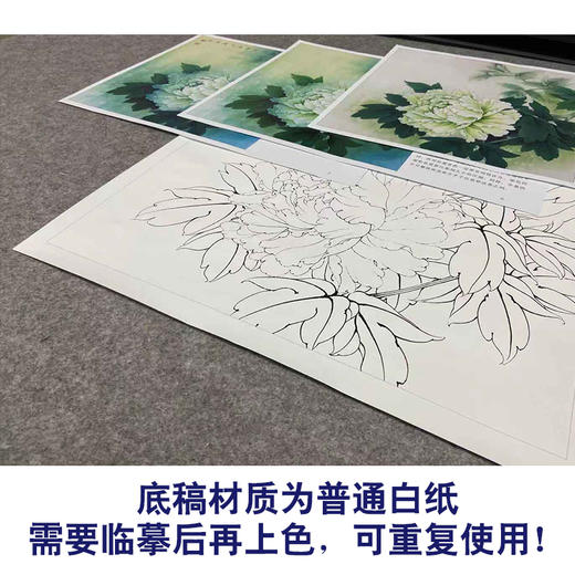 【有步骤、大彩图】李晓明工笔画白描底稿斗方小品《玉立春风》牡丹初学者临摹花鸟线稿KD21 商品图3