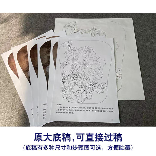 【有步骤、大彩图】李晓明工笔画白描底稿宫扇小品《琉璃冠珠》牡丹初学者临摹花鸟线稿KD08 商品图1
